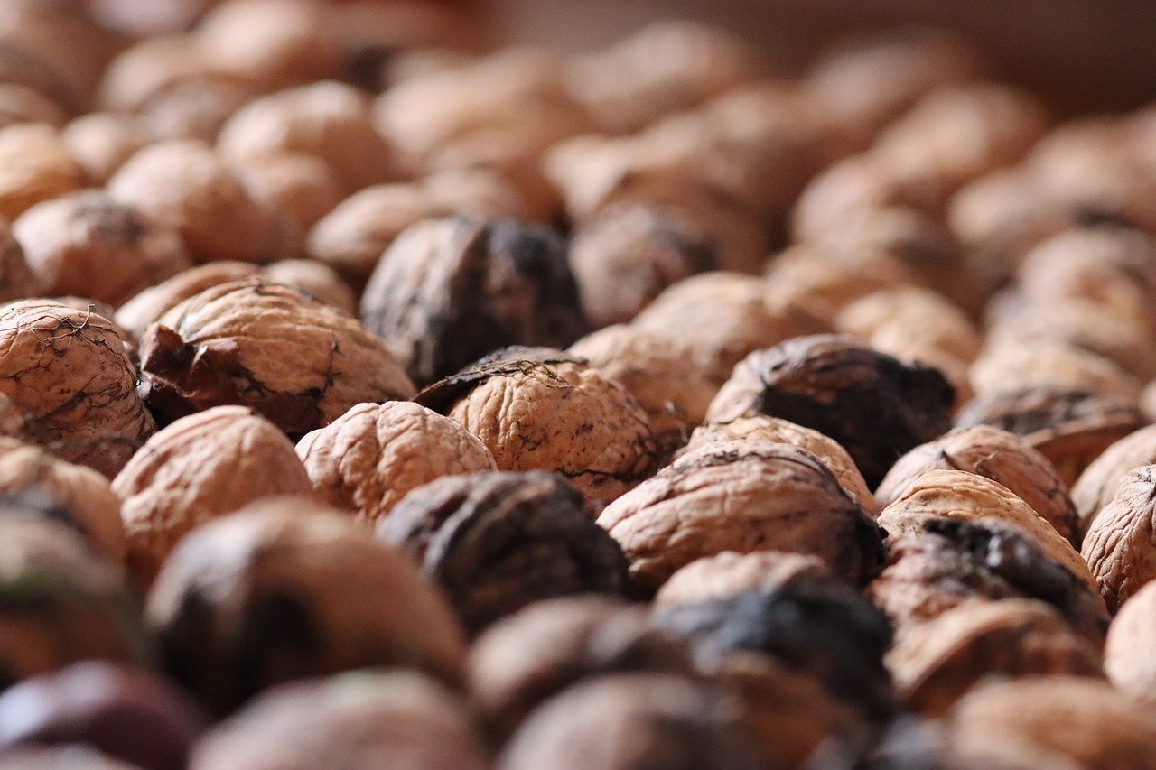 个人-企业版ChatGPT网站部署开店记