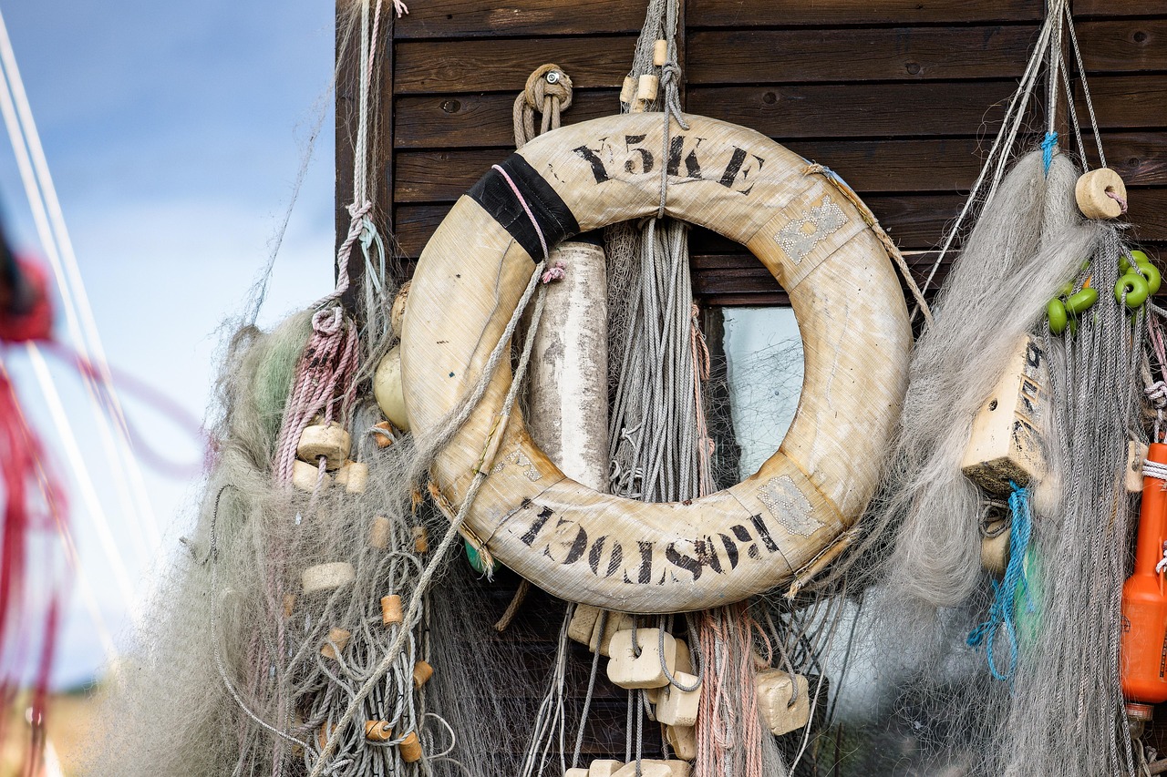 小说王app详情下载教程